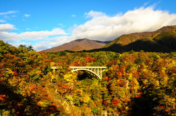 istock Beautiful landscape, changing colors in Japan 1198124009