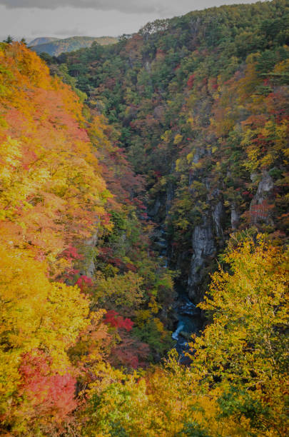 istock Autumn colors in Japan 1198124018