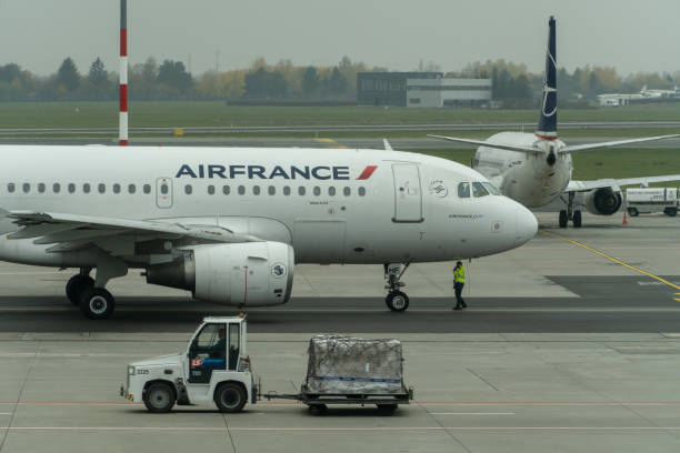 폴란드 공항의 에어 프랑스 제트기 - airbus a319 뉴스 사진 이미지