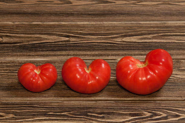 Big red tomato.  This is the heirloom variety.  Studio shot with a white background.