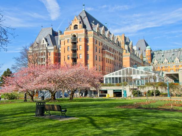 istock Spring flowers in Victoria BC downtown 1198130436