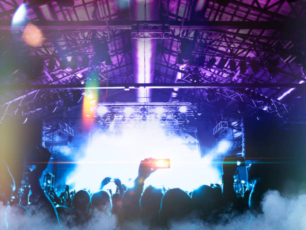 istock Music festival crowd 1198131227