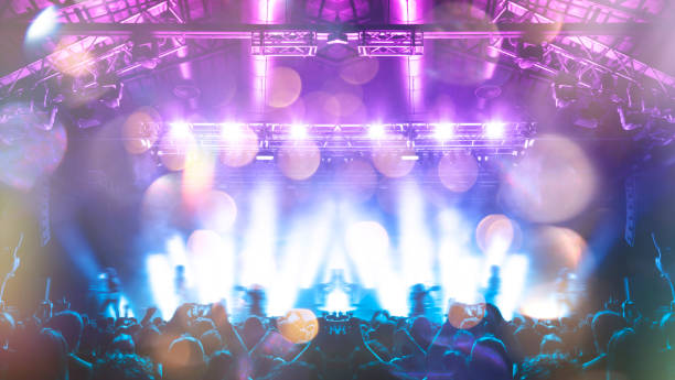 istock Music festival crowd 1198131264