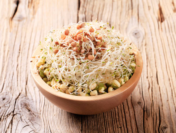 istock Mung beans and lentil sprouts 119813680