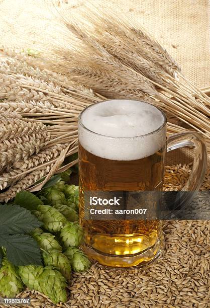 Birra Con Hopscone E Orzo - Fotografie stock e altre immagini di Alchol - Alchol, Bibita, Bicchiere da birra