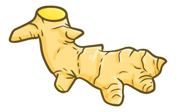Cartoon Tumeric 390+ Turmeric Cartoon Stock Illustrations, Royalty-Free Vector Graphics ...