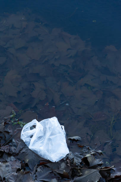 istock Plastic pollution in nature. Ecology contamination. 1198139418