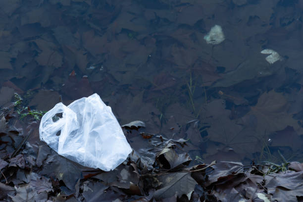 istock Plastic pollution in nature. Ecology contamination. 1198139425