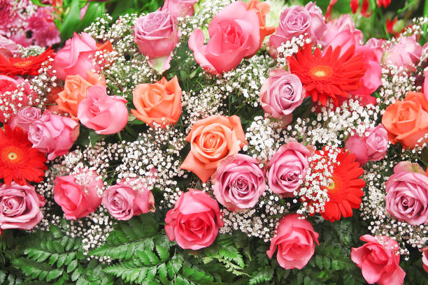 Pictured various kind of flowers in a white background.