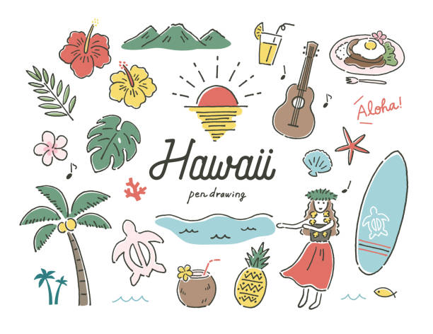 ilustraciones, imágenes clip art, dibujos animados e iconos de stock de hawaii - hawaii islands summer surfboard tropical climate