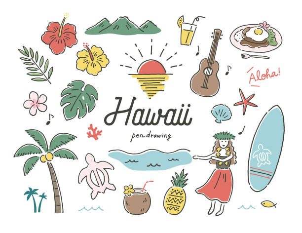 하와이 - 하와이 제도 일러스트 stock illustrations