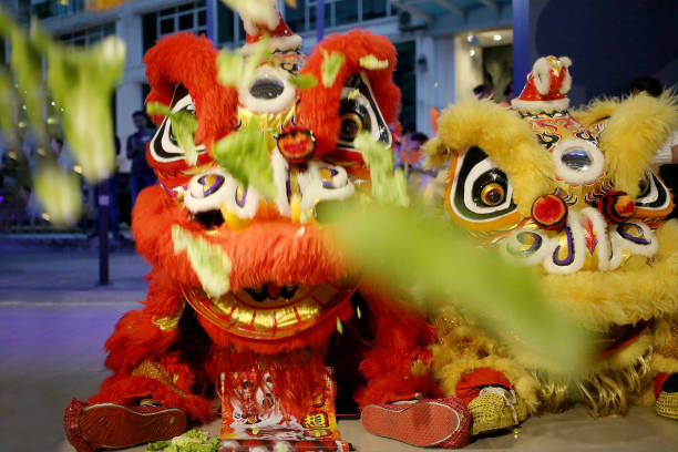 istock Chinese New Year - Lion Dance Performance 1198161623