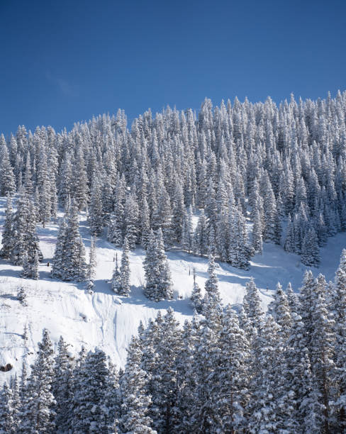 istock Ski resort Colorado USA 1198172468