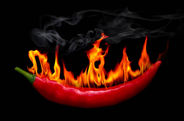 Closeup one fresh organic red hot chilli pepper, white background with copy space, full frame vertical composition chilli