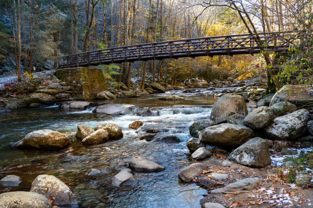 istock Big Creek, North Carolina 1198173366