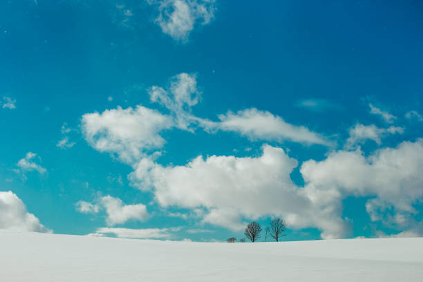 istock Biei Hokkaido in Winter 1198173401