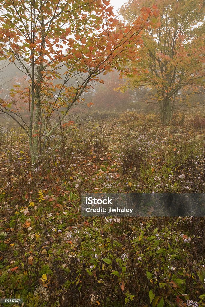 Autumn, Blue Ridge Parkway, NC  North Carolina - US State Stock Photo