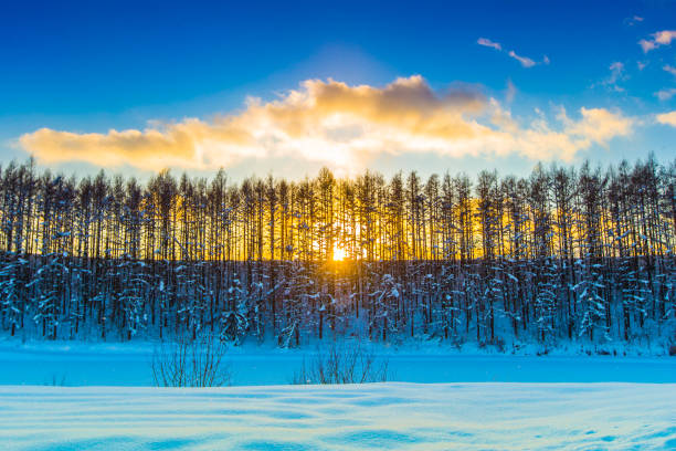Biei Hokkaido in Winter