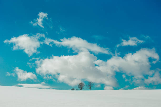 istock Biei Hokkaido in Winter 1198175969