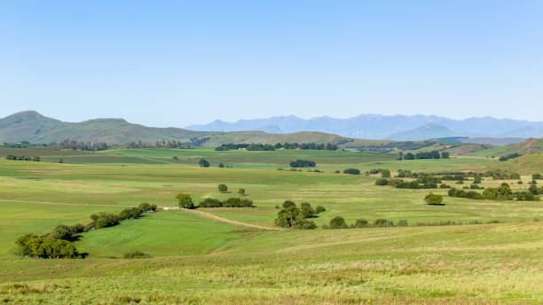 istock Summer Scenic Panoramic Farmlands Valley Mountains 1198179456