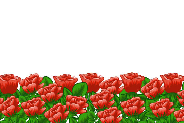Roses Festive Horizontal Background Valentines Day Stock Illustration -  Download Image Now - iStock