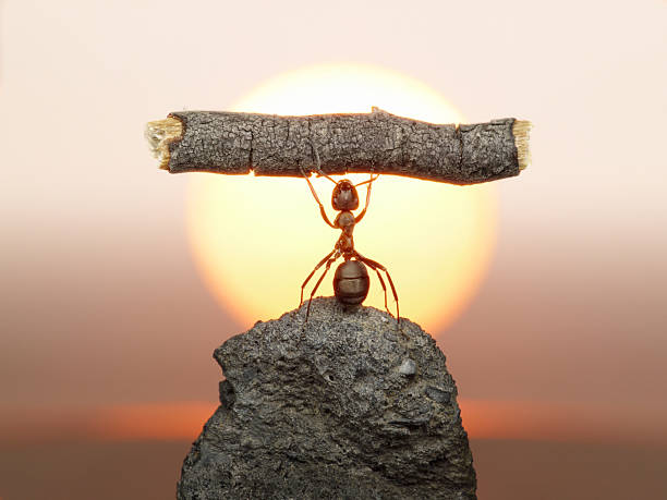Statue of Labour, ants civilization stock photo