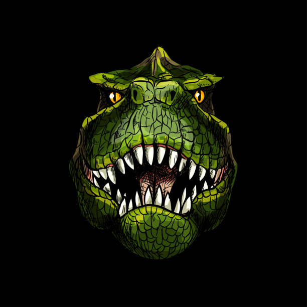 Dinosaur Eyes Illustrations, Royalty-Free Vector Graphics & Clip Art -  iStock