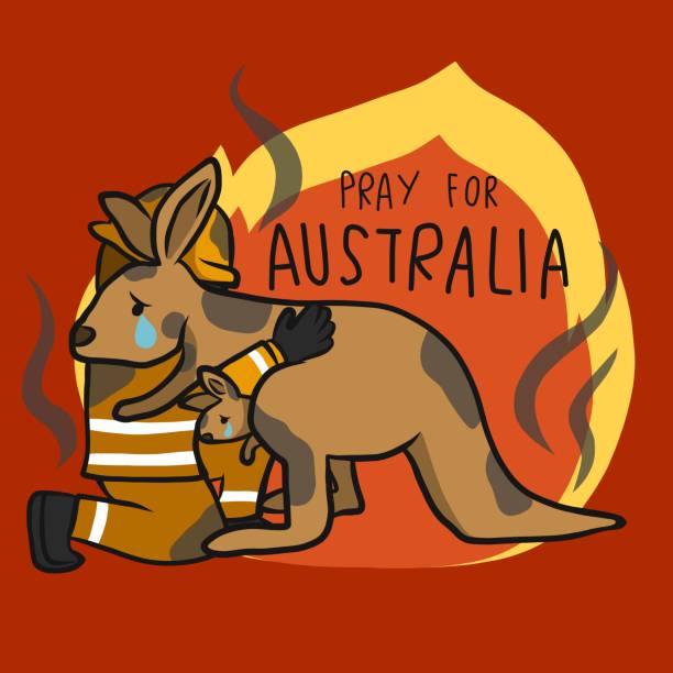 módl się za strażak australia zapisać ilustracji wektor kreskówki kangura - animal doodle bear kangaroo stock illustrations