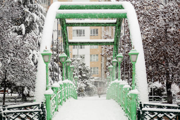 istock Green Steel Bridge is under snow 1198190991