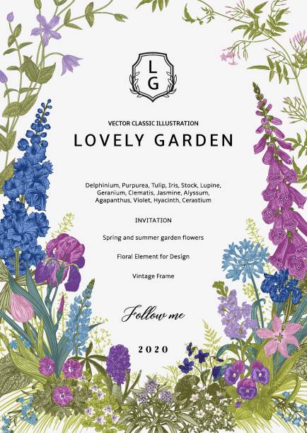 schöne garten. - delphinie stock-grafiken, -clipart, -cartoons und -symbole