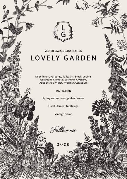 Lovely Garden. Lovely Garden. Vector invitation. Vintage frame. Spring and summer garden flowers. Black and white lupine flower stock illustrations