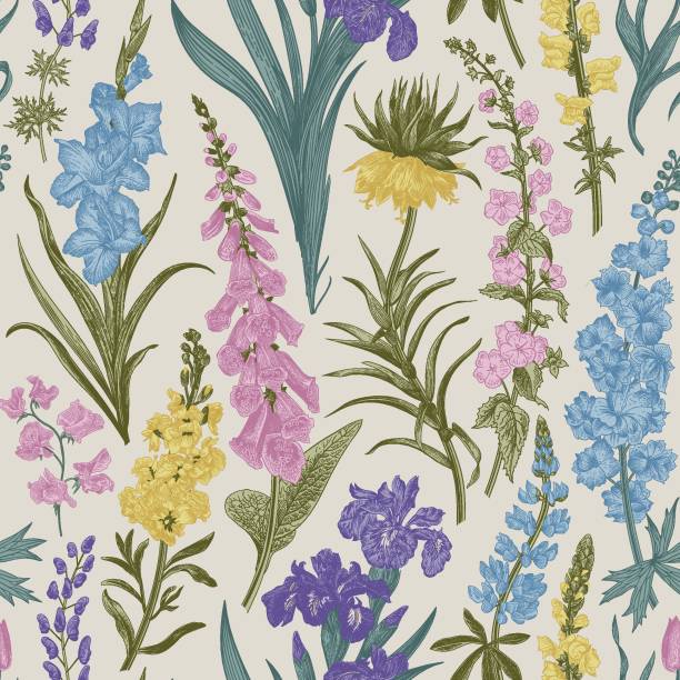 Lovely Garden. Lovely Garden. Vintage seamless pattern. Spring and summer garden flowers lupine flower stock illustrations