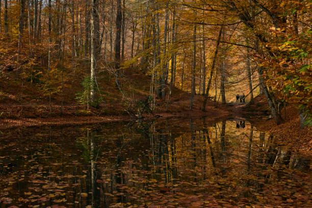 istock Yedigoller National Park 1198195048