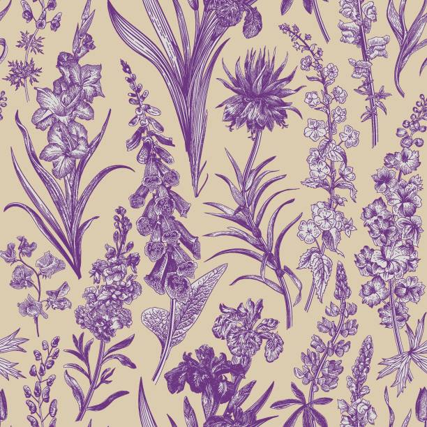 사랑스러운 정원. - gladiolus flower iris design stock illustrations