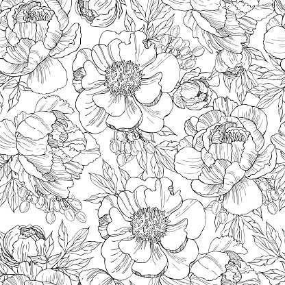 Floral background. Seamless vector pattern with hand drawn peonies