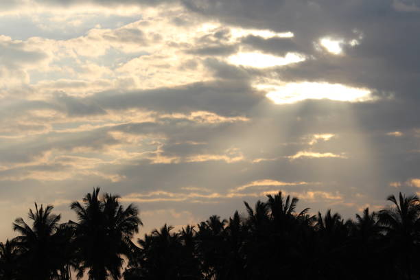 A rare phenomenon where sun rays passes through the cloud in the evening time and the scene looks immensely beautiful and treatful