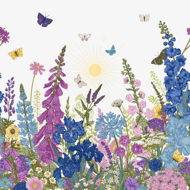 Lovely Garden. Border. Lovely Garden. Border. Vintage illustration. Spring and summer garden flowers lupine flower stock illustrations