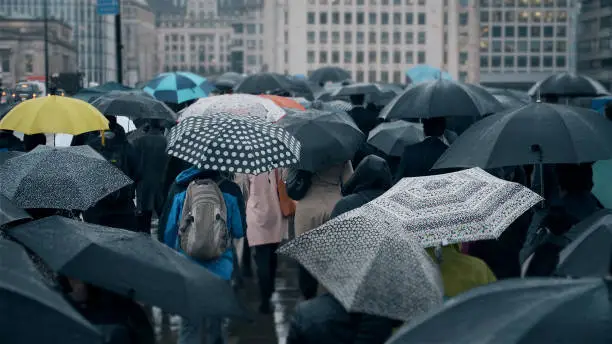 Photo of Commuters with umbrellas in the rain.