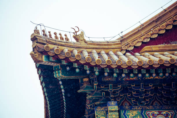 istock The Forbidden City with Snow- Beijing, China 1198207262