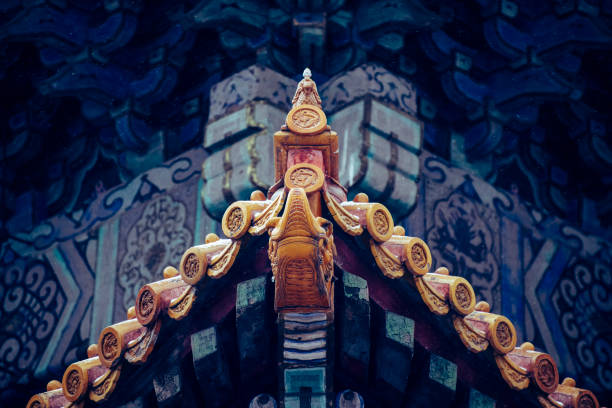 The Forbidden City with Snow - Beijing, China
