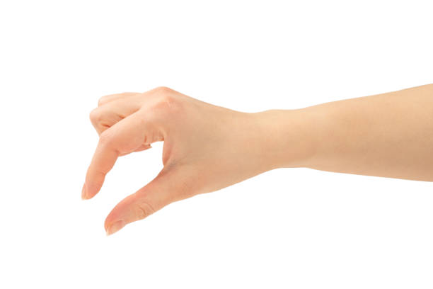 istock Hand of woman isolated on white 1198207709