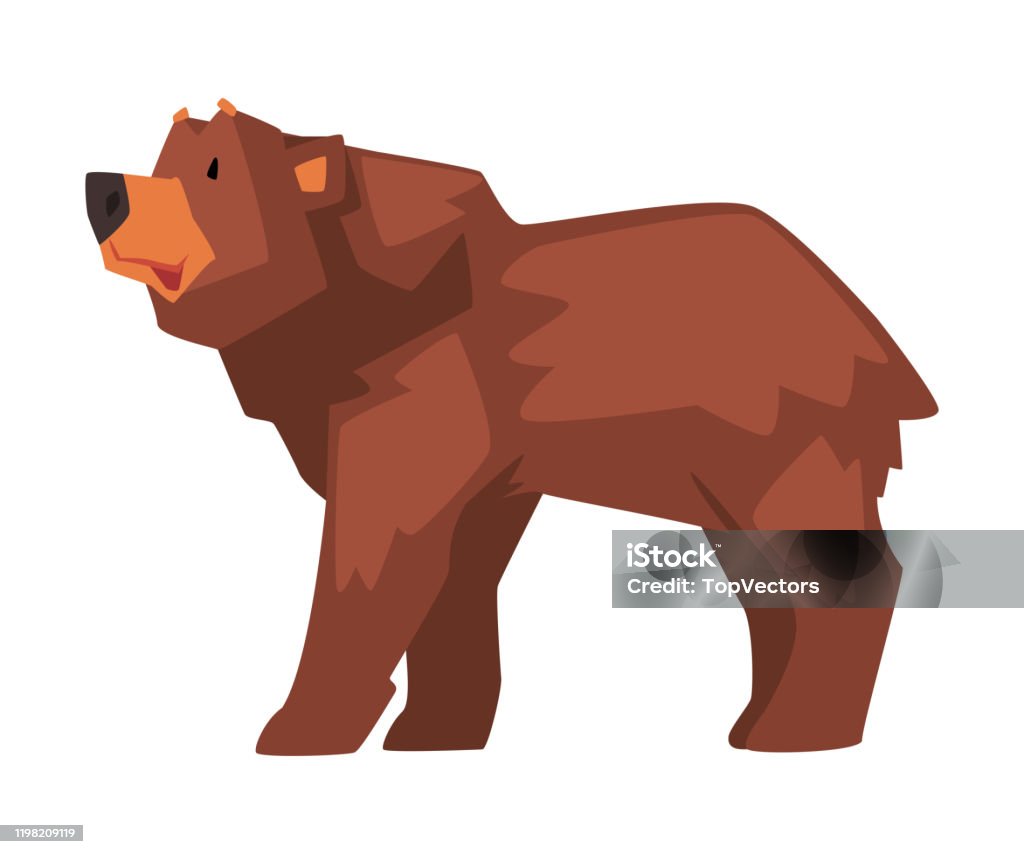 Ilustración de Lindo Oso Marrón Personaje Animal Del Bosque Salvaje Vista Lateral Ilustración Vectorial De Dibujos Animados y más Vectores Libres de Derechos de Aire libre - iStock Ilustración de Lindo Oso Marrón Personaje Animal Del Bosque Salvaje Vista Lateral Ilustración Vectorial De Dibujos Animados y más Vectores Libres de Derechos de Aire libre - iStock