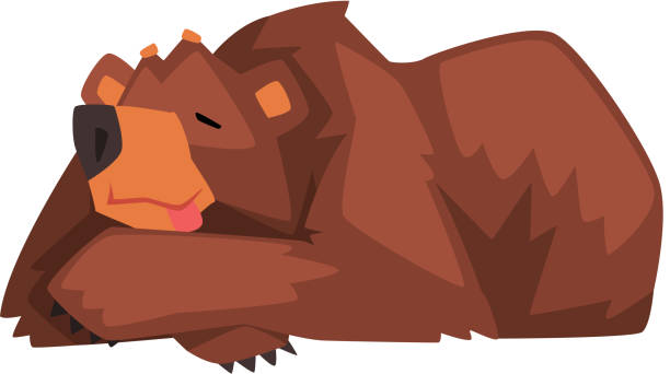 Sleeping Brown Bear Cute Wild Forest Animal Character Cartoon Vector  Illustration Stock Illustration - Download Image Now - iStock