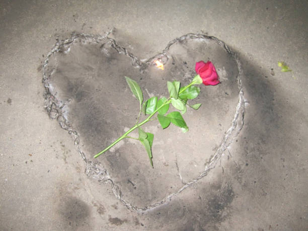 istock A rose in a burnt heart. 1198209285