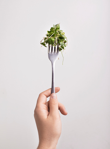 Fresh for health. Micro green on fork in female hand over white background, vertical panorama