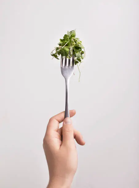 Fresh for health. Micro green on fork in female hand over white background, vertical panorama