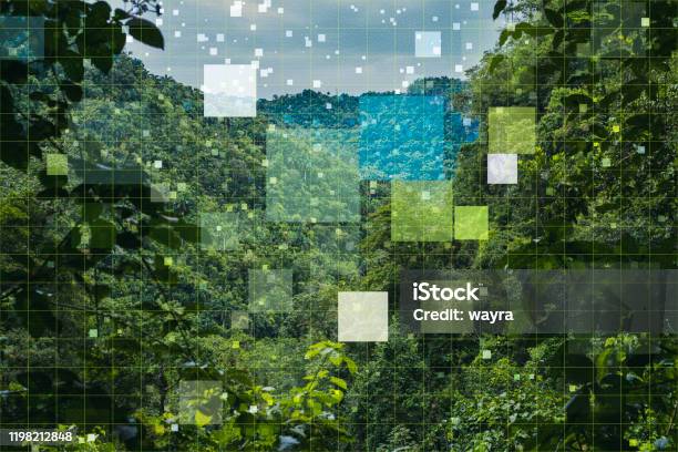 Digital Nature Related Concept Internet Of Things Networking Big Data Measure The Nature Stock Photo - Download Image Now