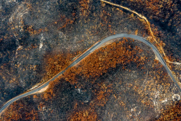 ブッシュ火災 - ブルーマウンテン国立公園 写真 ストックフォトと画像