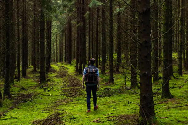 Photo of Man walking in forest