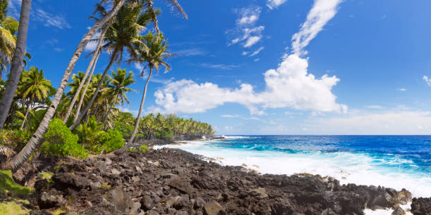 istock Big Island Hawaii coastline 1198215297